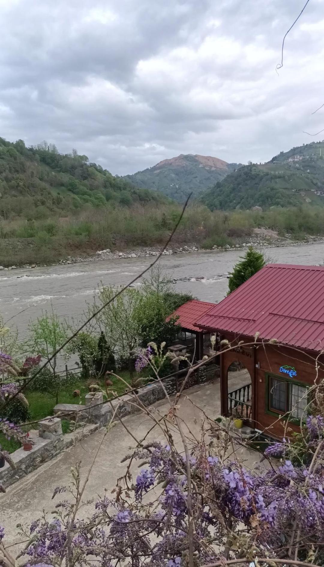 Dere Evi Apartment Rize Exterior photo
