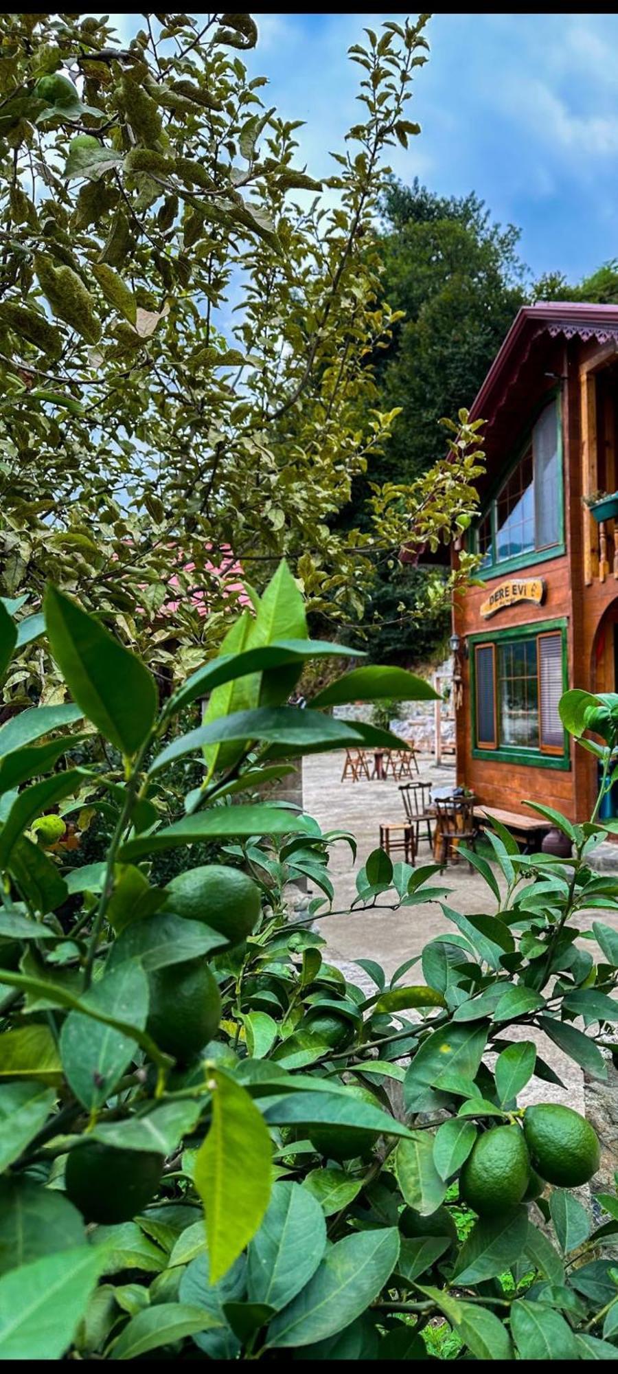 Dere Evi Apartment Rize Exterior photo